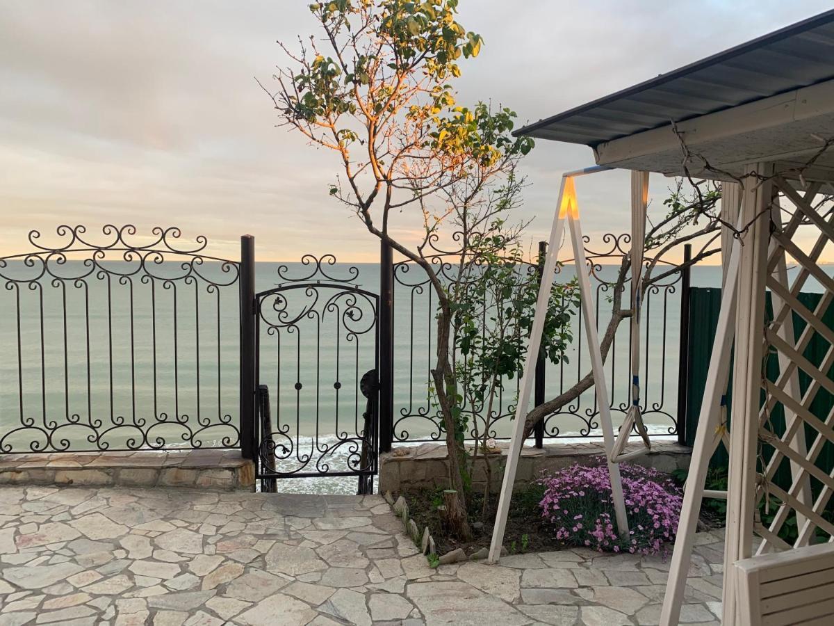 Guest House Dacha Nova Dofinivka Εξωτερικό φωτογραφία