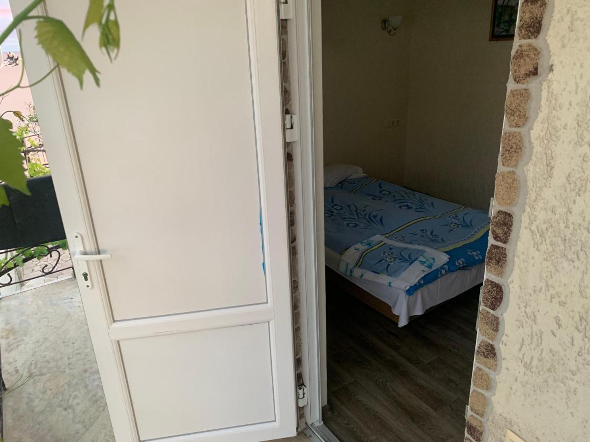 Guest House Dacha Nova Dofinivka Εξωτερικό φωτογραφία